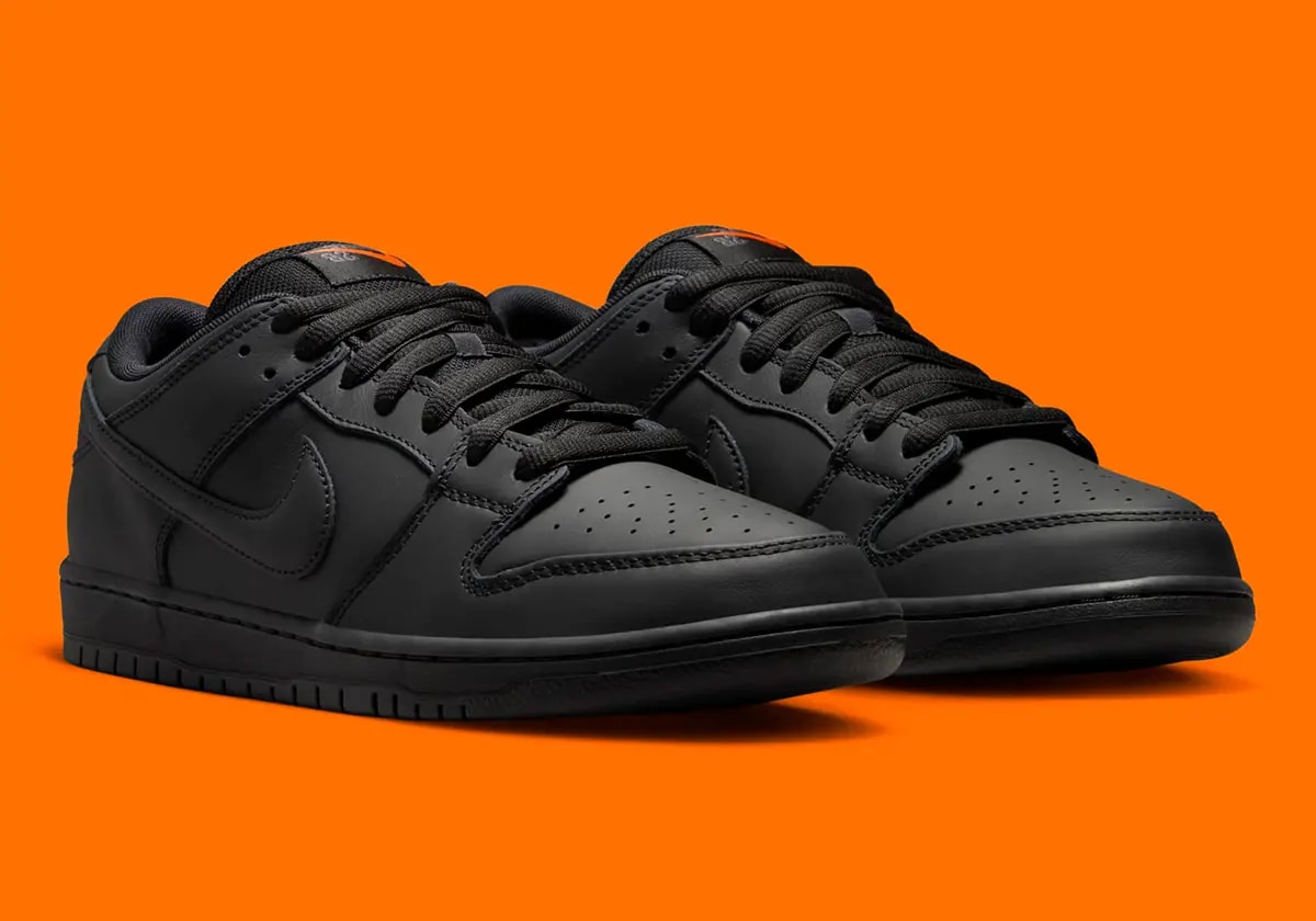 Giày Nike SB Dunk Low Pro 'Triple Black' FJ1674-001 — ảnh 5