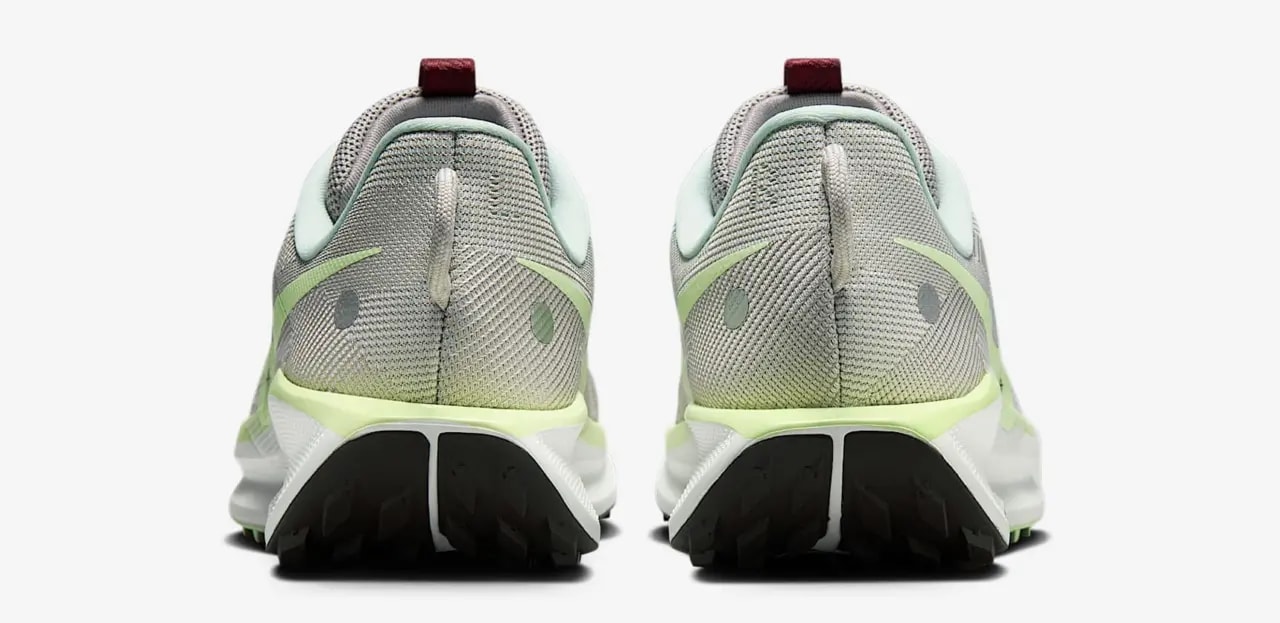 Giày Nike Pegasus Trail 5 'Summit White' DV3864-102 — ảnh 5