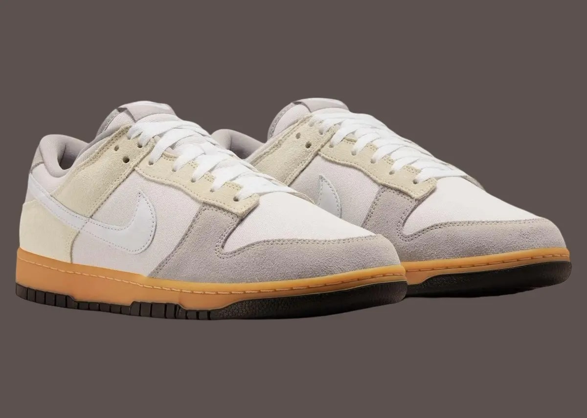 Giày Nike Dunk Low 'Suede & Canvas' HV4301-030 — ảnh 5