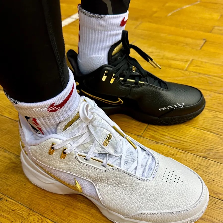Giày Nike Zoom LeBron NXXT Gen AMPD EP ‘Equity’ FJ1567-103 — ảnh 2