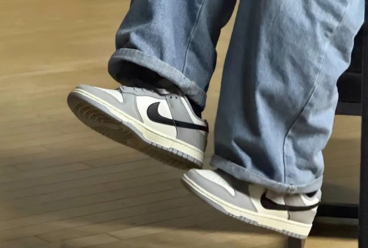 Giày Nike Dunk Low 'Sail Wolf Grey' IB3079-101 — ảnh 3