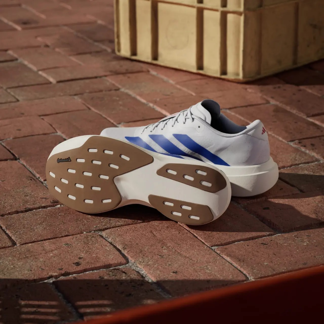Giày Adidas Adizero Evo SL 'White Royal Blue' JS4494 — ảnh 5