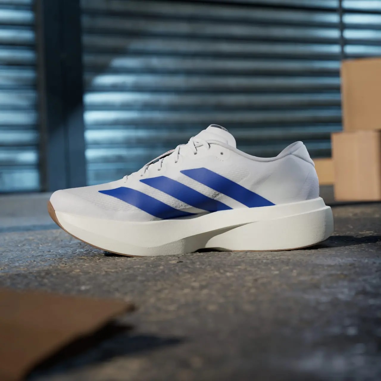 Giày Adidas Adizero Evo SL 'White Royal Blue' JS4494 — ảnh 2