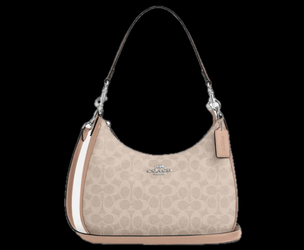 Túi Coach Teri Hobo Bag 'Taupe' CV940-SVPWH