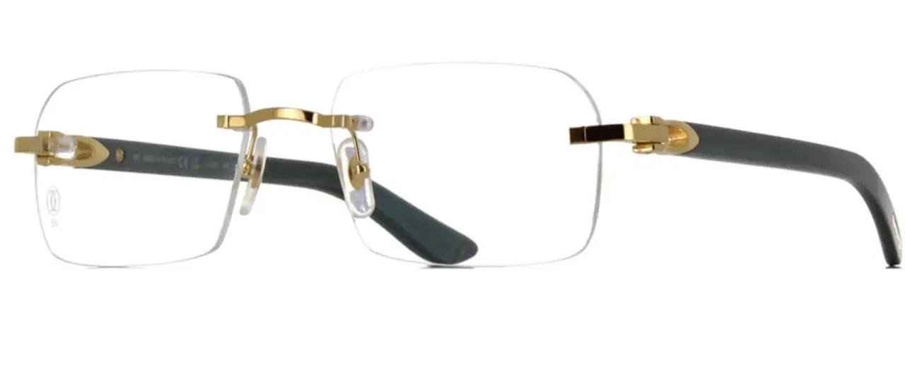 Kính Cartier Eyeglasses 'Black' CT0453O005 — ảnh 3