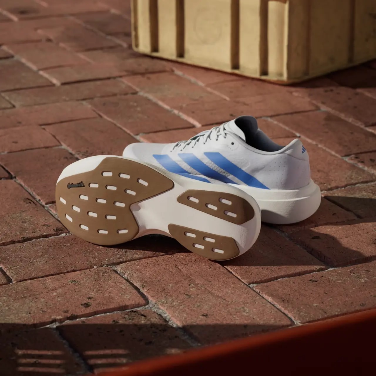 Giày Adidas Adizero Evo SL 'White Blue Fusion' JS4454 — ảnh 2