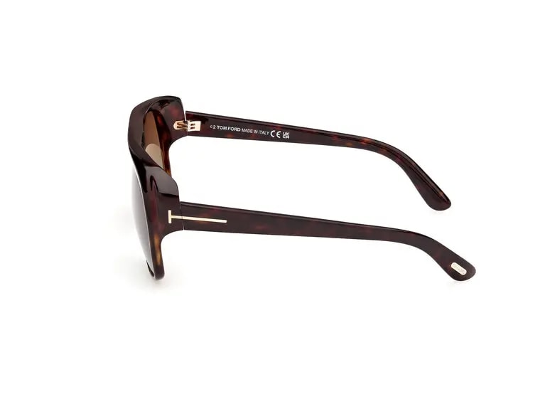 Kính Tom Ford Jayden Sunglasses 'Black' FT1103-52F — ảnh 3