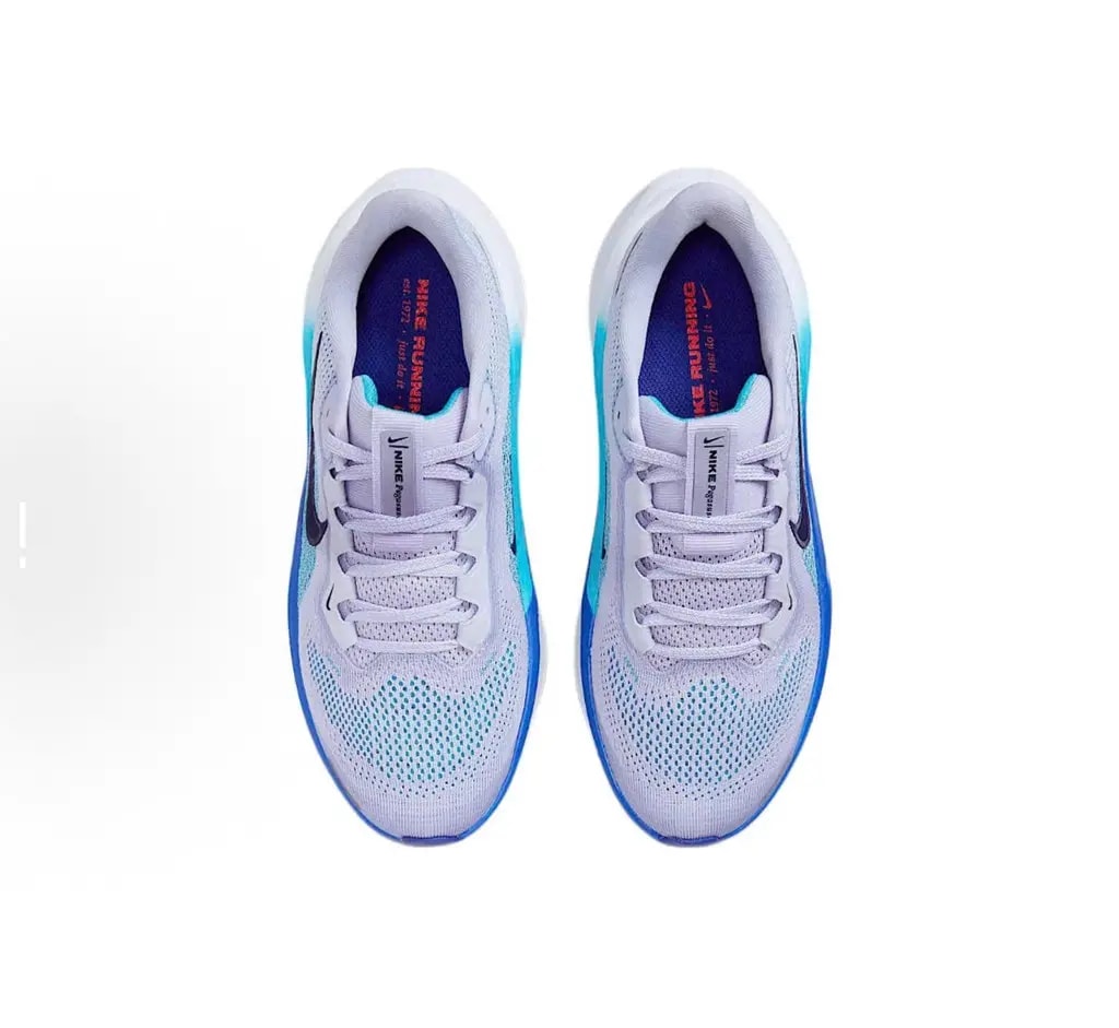 Giày Nike Air Zoom Pegasus 41 ‘Deep Night Blue Void’ FN5041-004 — ảnh 2