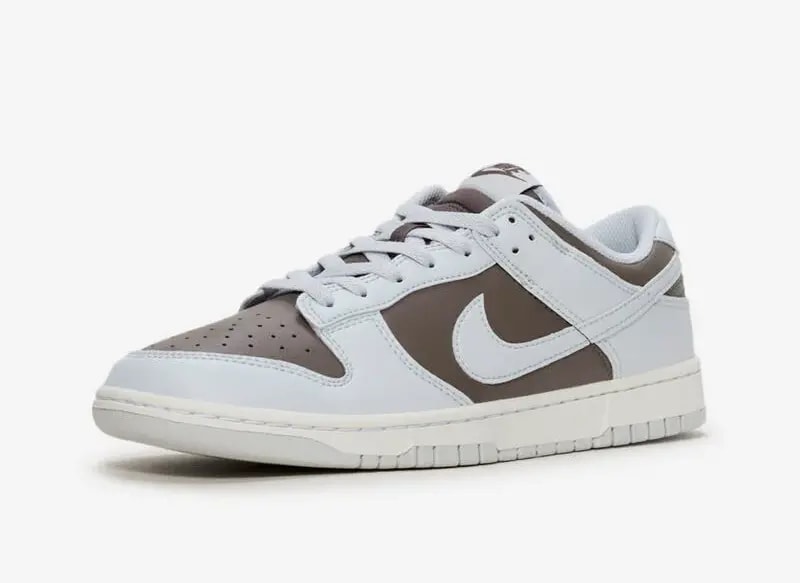Giày Nike Dunk Low Retro 'Cave Stone' HF5441-202 — ảnh 5