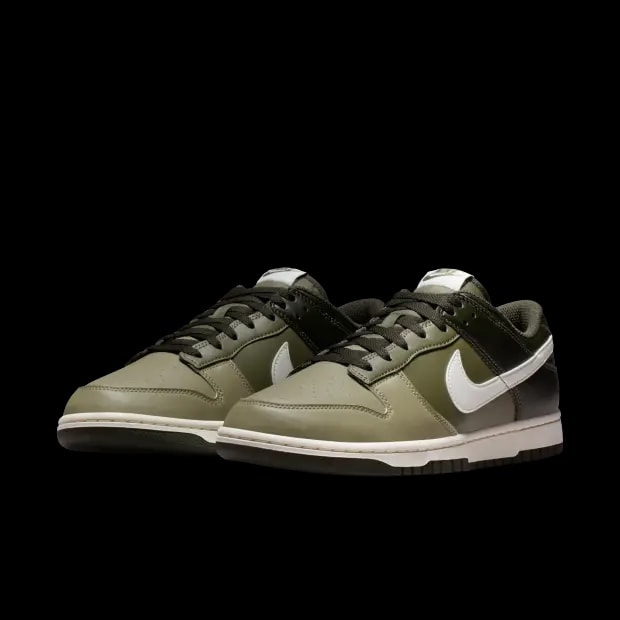 Giày Nike Dunk Low Retro 'Medium Olive Sequoia' HF5441-203 — ảnh 4