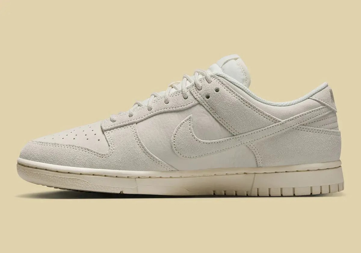 Giày Nike Dunk Low Retro SE 'Phantom' IB6651-003 — ảnh 2