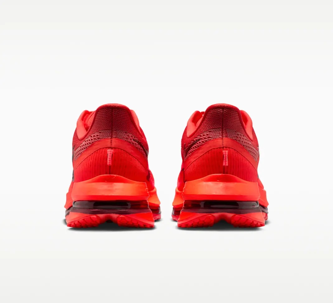 Giày Nike Pegasus Premium 'Light Crimson' HQ2592-601 — ảnh 5