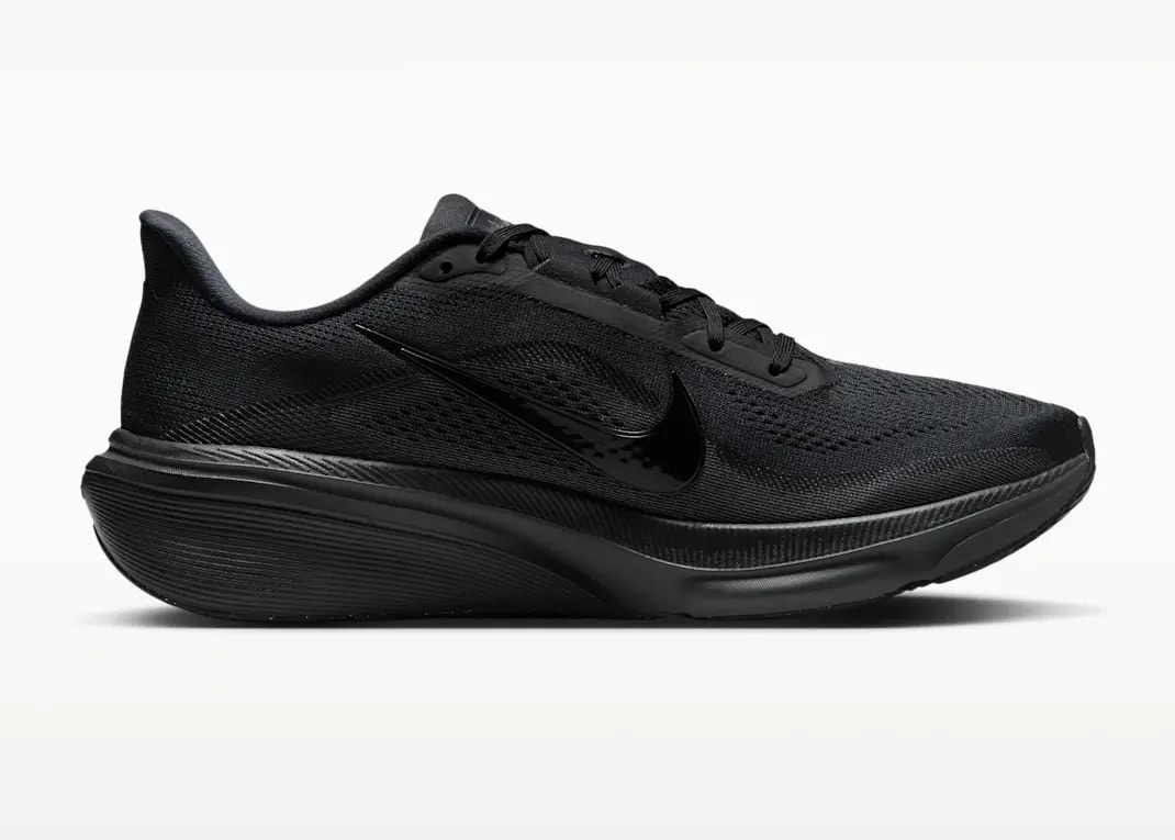 Giày Nike Air Zoom Pegasus 42 'Black Anthracite' IB1873-003 — ảnh 2