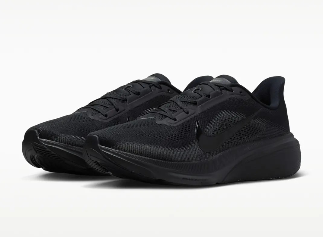 Giày Nike Air Zoom Pegasus 42 'Black Anthracite' IB1873-003 — ảnh 4