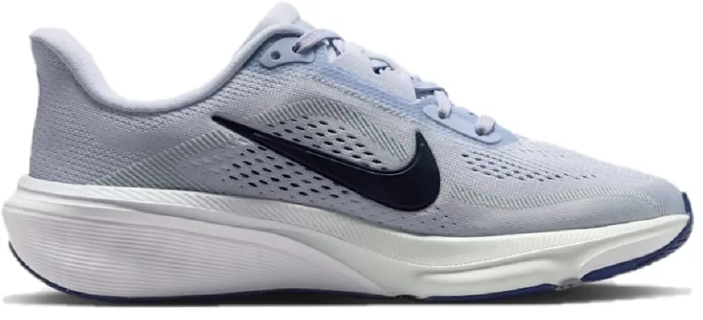 Giày Nike Pegasus 42 'Blue Void' IH2306-004 — kich-thuoc: 36