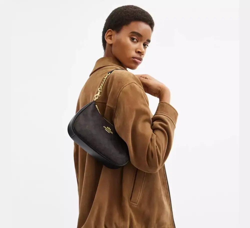 Túi Coach Teri Shoulder Bag 'Walnut' CV933-IMXAQ — ảnh 2