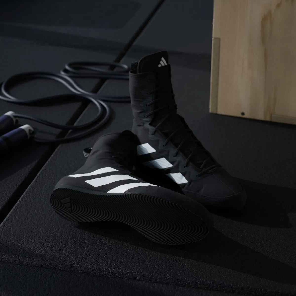 Giày Adidas Box Hog 4 'Black Cloud White' JS4684 — ảnh 3