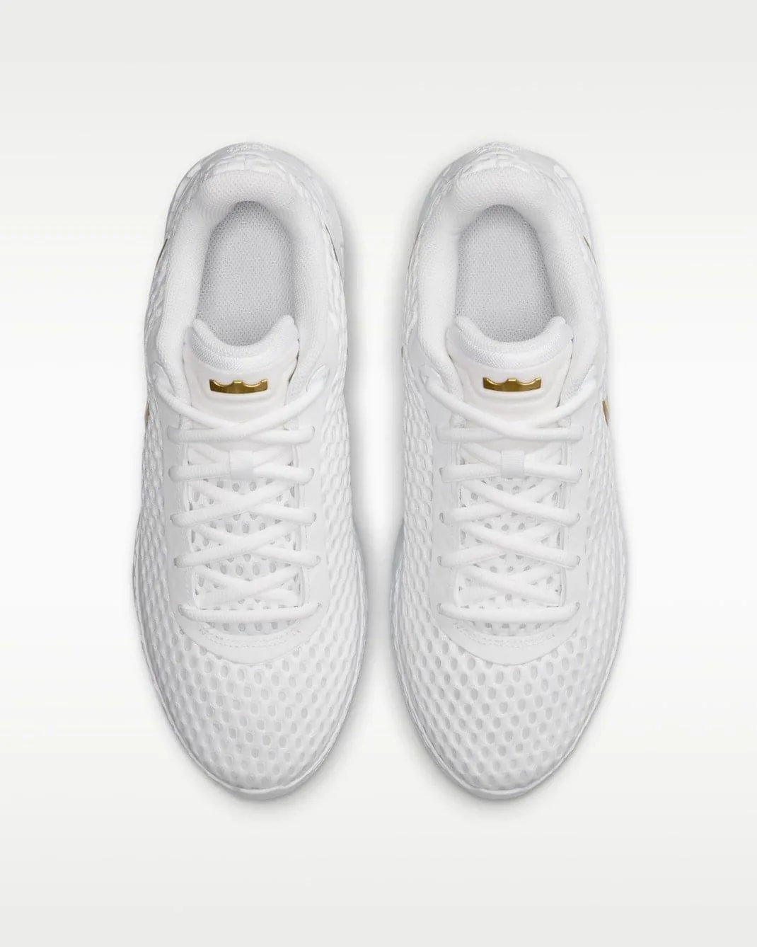 Giày Nike LeBron Witness X EP 'White' IQ9845-100 — ảnh 3