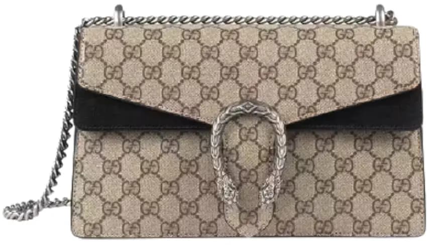 Túi Gucci Dionysus Small GG Shoulder GG Supreme 400249-KHNRN-9769 Túi Gucci Dionysus Small GG Shoulder GG Supreme 400249-KHNRN-9769