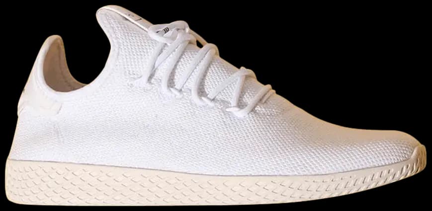 Giày Adidas Pharrell x Tennis Hu 'Cloud White' B41792 Giày Adidas Pharrell x Tennis Hu 'Cloud White' B41792