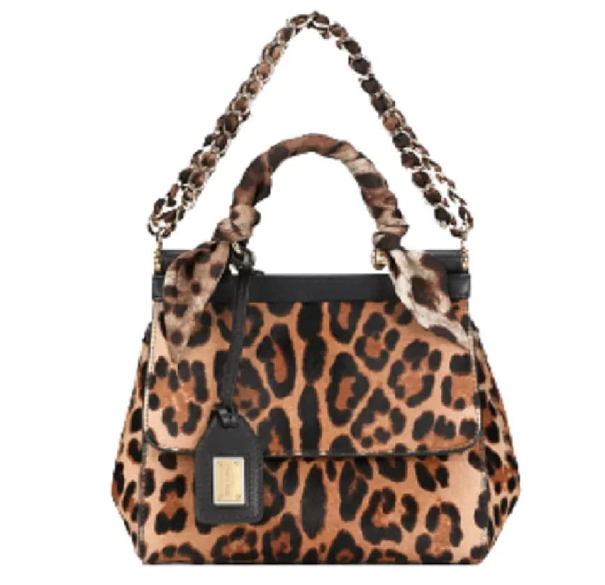 Túi Dolce & Gabbana Pony Hair 'Leopard Print' Túi Dolce & Gabbana Pony Hair 'Leopard Print'