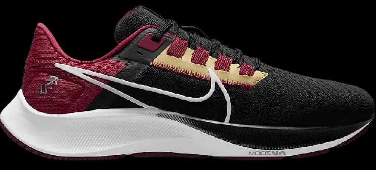 Giày Nike Air Zoom Pegasus 38 'Florida State' DJ0827-001 Giày Nike Air Zoom Pegasus 38 'Florida State' DJ0827-001