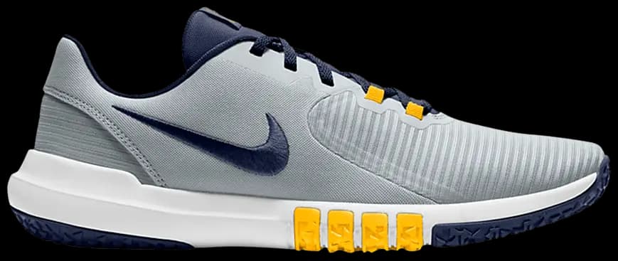 Giày Nike Flex Control 4 'Pure Platinum Navy' CD0197-007 Giày Nike Flex Control 4 'Pure Platinum Navy' CD0197-007