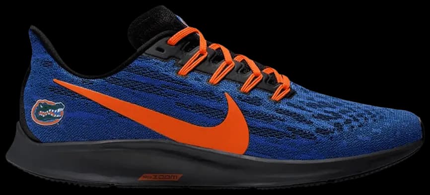 Giày Nike Air Zoom Pegasus 36 'Florida Gators' CI2066-400 Giày Nike Air Zoom Pegasus 36 'Florida Gators' CI2066-400