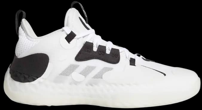 Giày Adidas Harden Vol 5 BKLYN 'White' Q46143 Giày Adidas Harden Vol 5 BKLYN 'White' Q46143