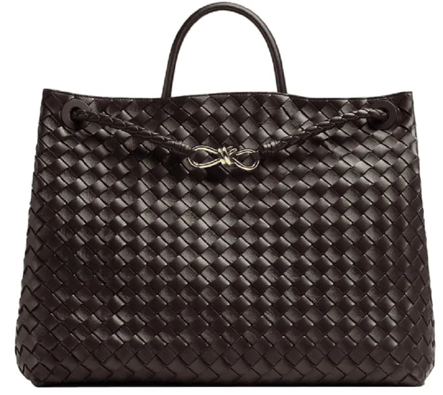 Túi Bottega Veneta Large Andiamo 'Fondant' 743575VCPP12272 Túi Bottega Veneta Large Andiamo 'Fondant' 743575VCPP12272