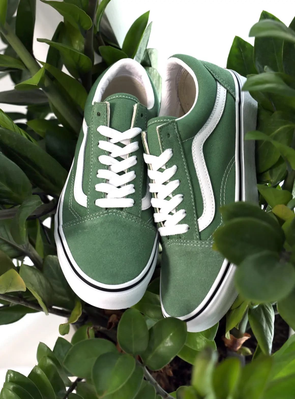 Mùa hè ngập tràn sắc màu cùng bộ sưu tập mới nhất từ Vans Mùa hè ngập tràn sắc màu cùng bộ sưu tập mới nhất từ Vans