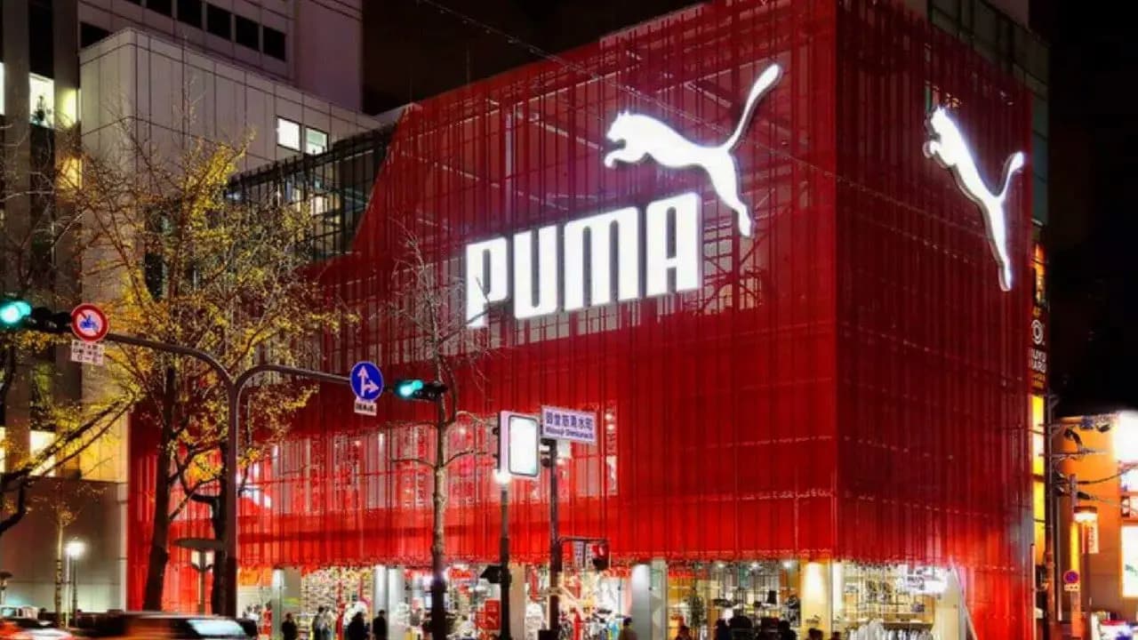 Hướng dẫn chọn size giày Puma chính xác Hướng dẫn chọn size giày Puma chính xác