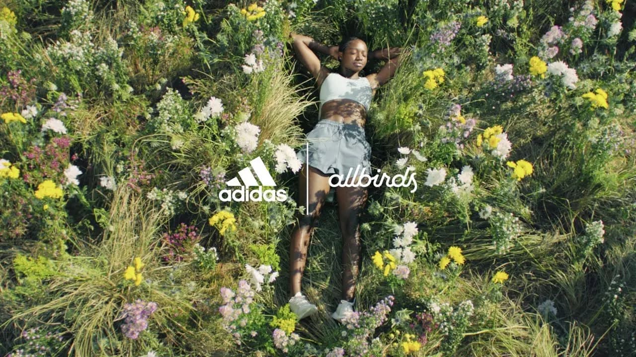 Sự hợp tác giữa Adidas và Allbirds để hướng tới mục tiêu "XANH" Sự hợp tác giữa Adidas và Allbirds để hướng tới mục tiêu "XANH"