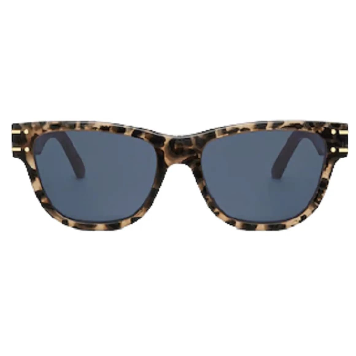 Kính Dior DiorSignature S6U DSGTS6UTR-69B0 Kính Dior DiorSignature S6U DSGTS6UTR-69B0