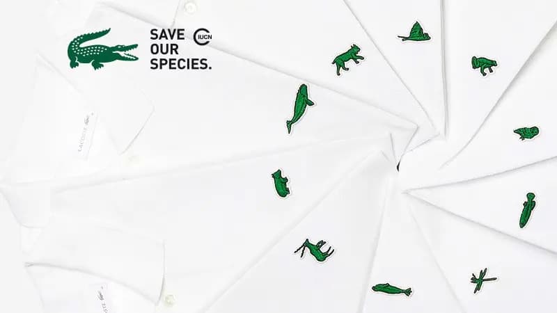 Lacoste mang lại những thông điệp gì qua những thiết kế mới? Lacoste mang lại những thông điệp gì qua những thiết kế mới?