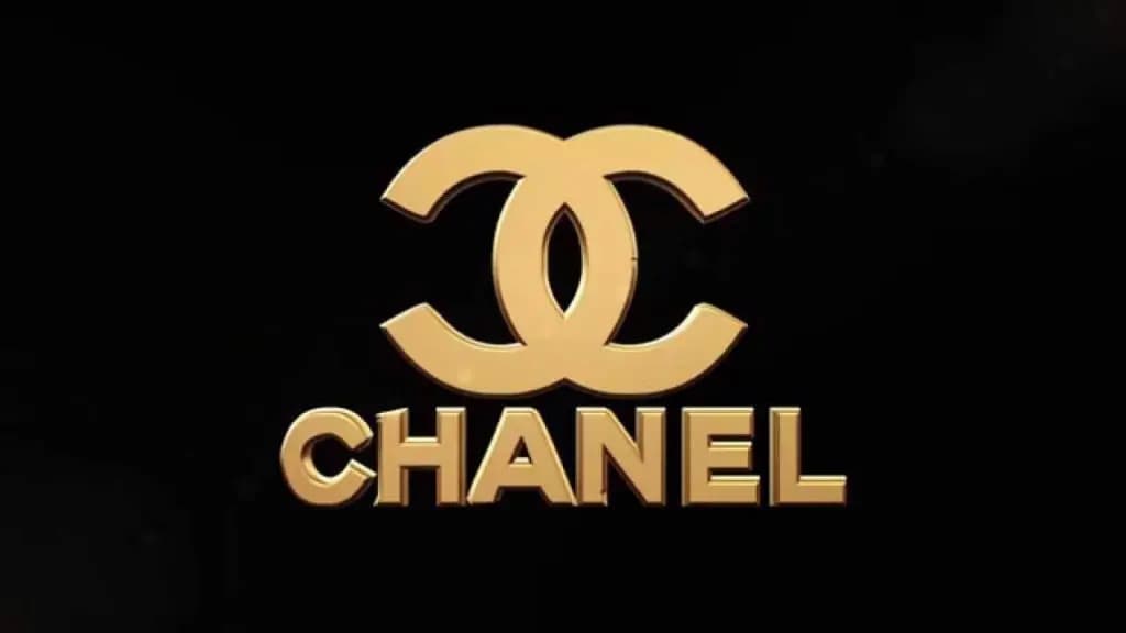 Những chiếc túi Chanel dành cho người mới bắt đầu Những chiếc túi Chanel dành cho người mới bắt đầu