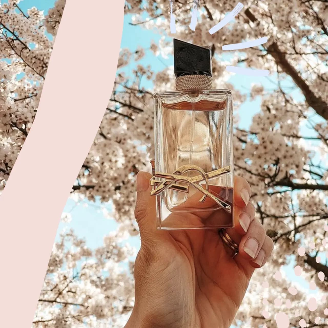 Top 6 chai nước hoa hương vani đáng sở hữu nhất năm 2023 Top 6 chai nước hoa hương vani đáng sở hữu nhất năm 2023