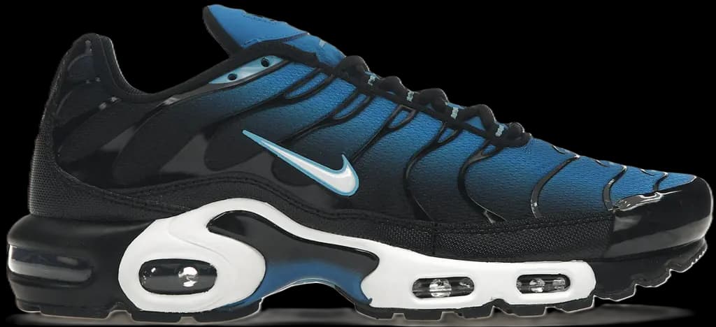 Giày Nike Air Max Plus Aquarius 'Blue' DM0032-402 Giày Nike Air Max Plus Aquarius 'Blue' DM0032-402