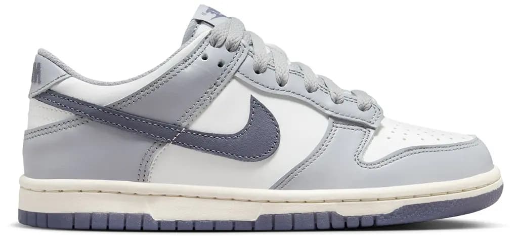 Giày Nike Dunk Low 'Platinum Tint Light Carbon' FB9109-101 Giày Nike Dunk Low 'Platinum Tint Light Carbon' FB9109-101