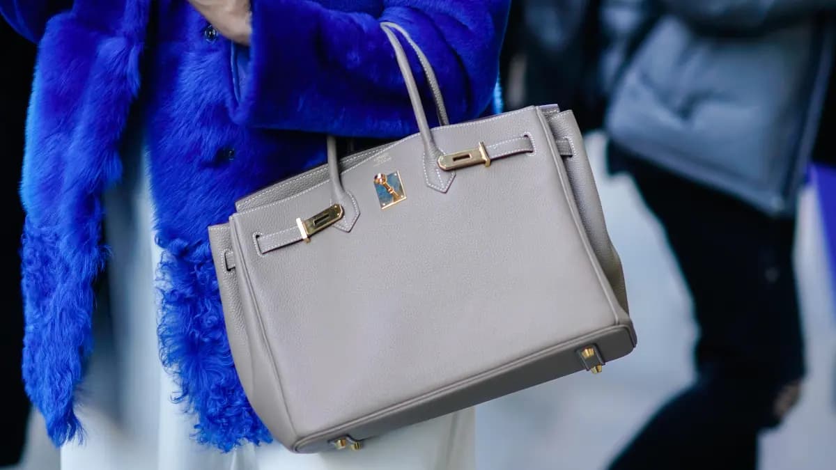 Sưu tầm túi Birkin: Hướng dẫn chi tiết cho người mới bắt đầu Sưu tầm túi Birkin: Hướng dẫn chi tiết cho người mới bắt đầu