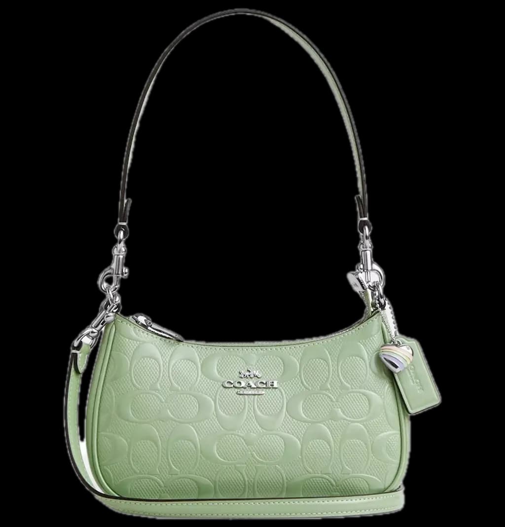 Túi Coach Teri Mini Crossbody Bag ‘Mint’ CCZ29-SVA5 Túi Coach Teri Mini Crossbody Bag ‘Mint’ CCZ29-SVA5