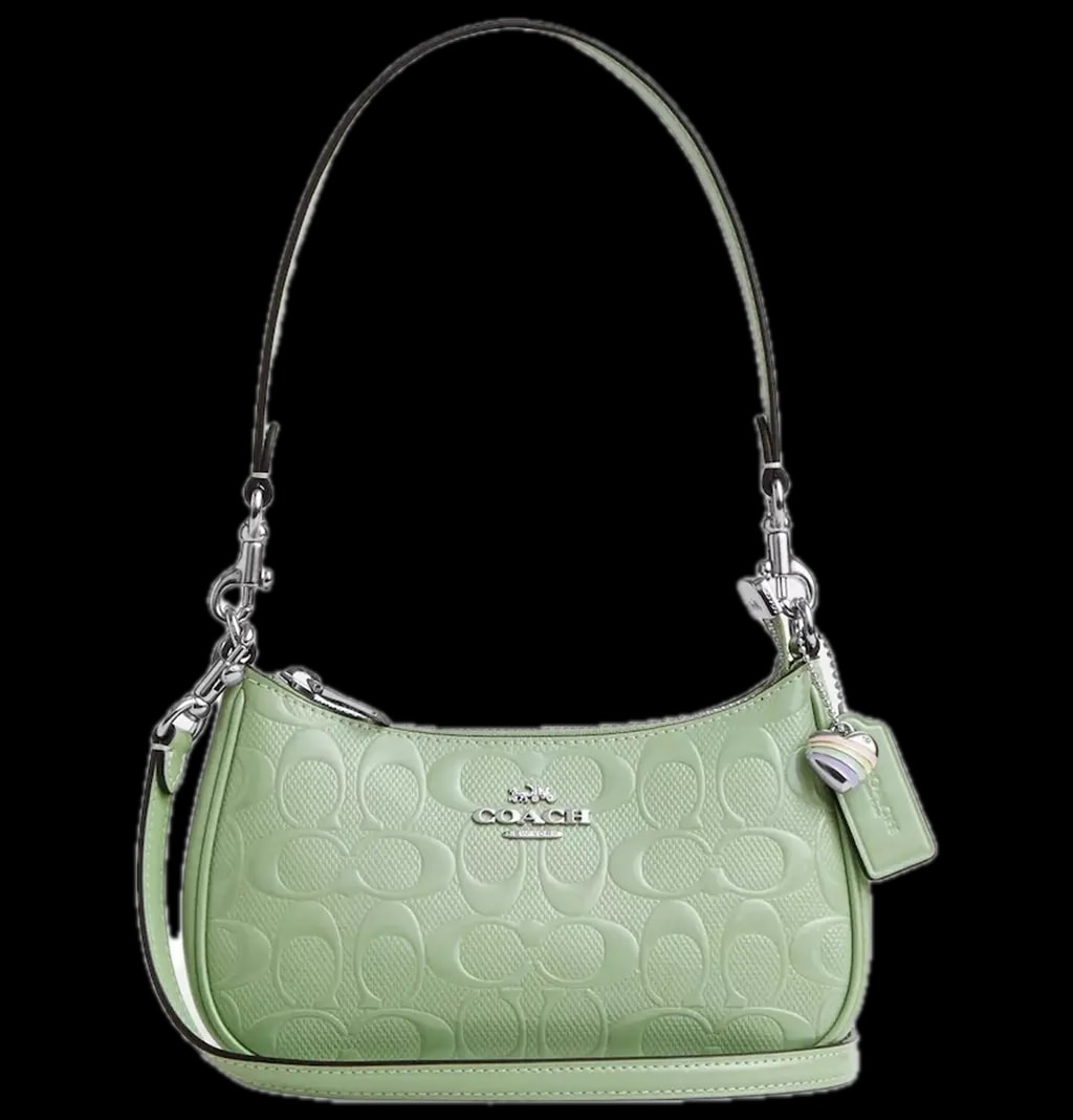 Túi Coach Teri Mini Crossbody Bag ‘Mint’ CCZ29-SVA5 Túi Coach Teri Mini Crossbody Bag ‘Mint’ CCZ29-SVA5