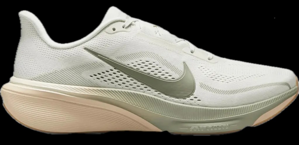 Giày Nike Air Zoom Pegasus 42 'Pale Ivory' IB1873-020 — kich-thuoc: 40.5 Giày Nike Air Zoom Pegasus 42 'Pale Ivory' IB1873-020 — kich-thuoc: 40.5