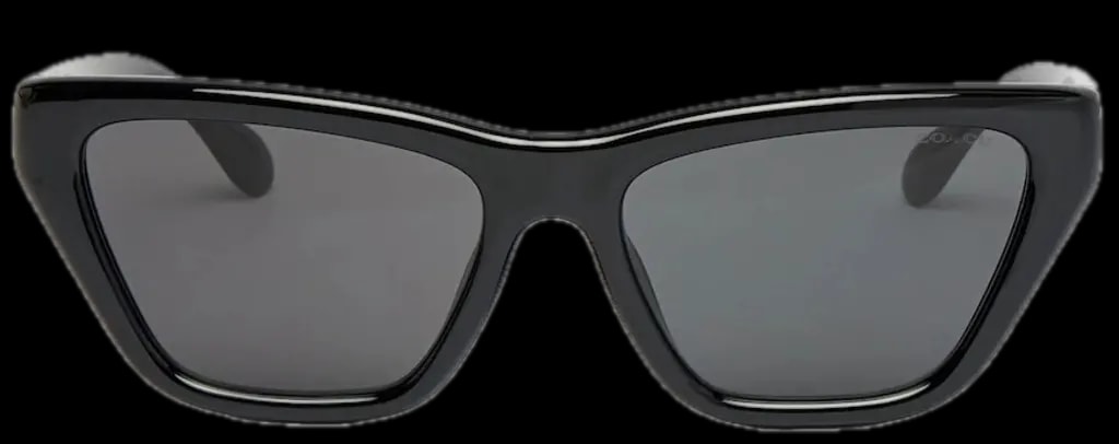 Kính Coach Sunglasses 'Black' 0HC8449U-500287 Kính Coach Sunglasses 'Black' 0HC8449U-500287