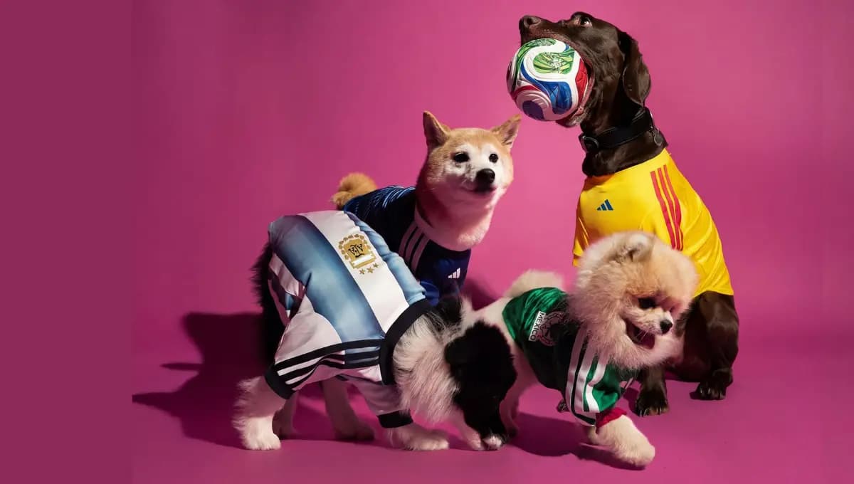 Áo đấu WC 2026 xuất hiện phiên bản thú cưng từ adidas Áo đấu WC 2026 xuất hiện phiên bản thú cưng từ adidas