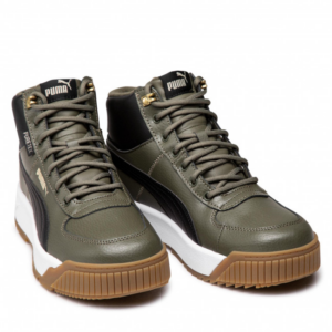 Giay Puma Tarrenz SB Puretex 370552-08