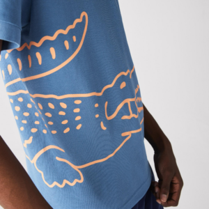 Ao Lacoste Cotton Pique Polo Shirt PH9739-776