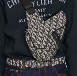 Tui Dior Saddle Bag Beige and Black 1ADPO093YKY-H28E