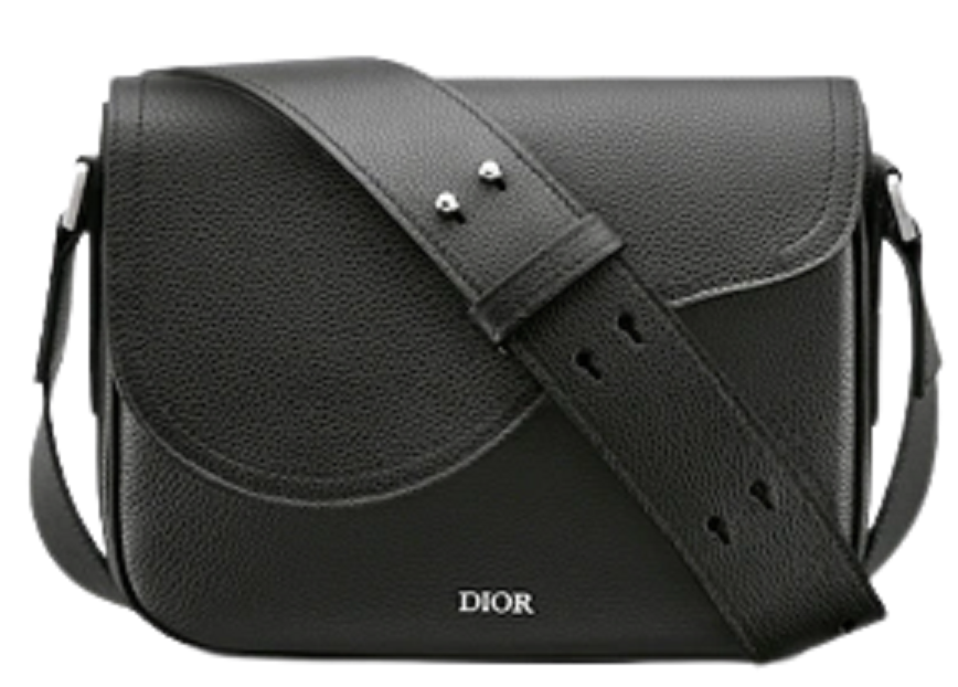 Christian Dior SADDLE Saddle bag (1ADPO093YKK_H00N)