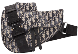 Tui Dior Saddle Bag Beige and Black 1ADPO093YKY-H28E